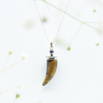 Tiger's Eye Shark's Tooth Pendant with an Amethyst Accent in 925 Silver