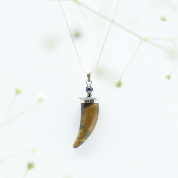 Tiger's Eye Shark's Tooth Pendant with an Amethyst Accent in 925 Silver