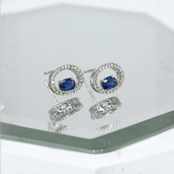 Blue Sapphire Earrings in 18K White Gold