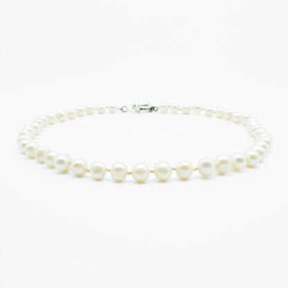 Freshwater Pearl Necklace with 925 Silver Clasp - IAC Galleria